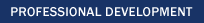 Professional Development